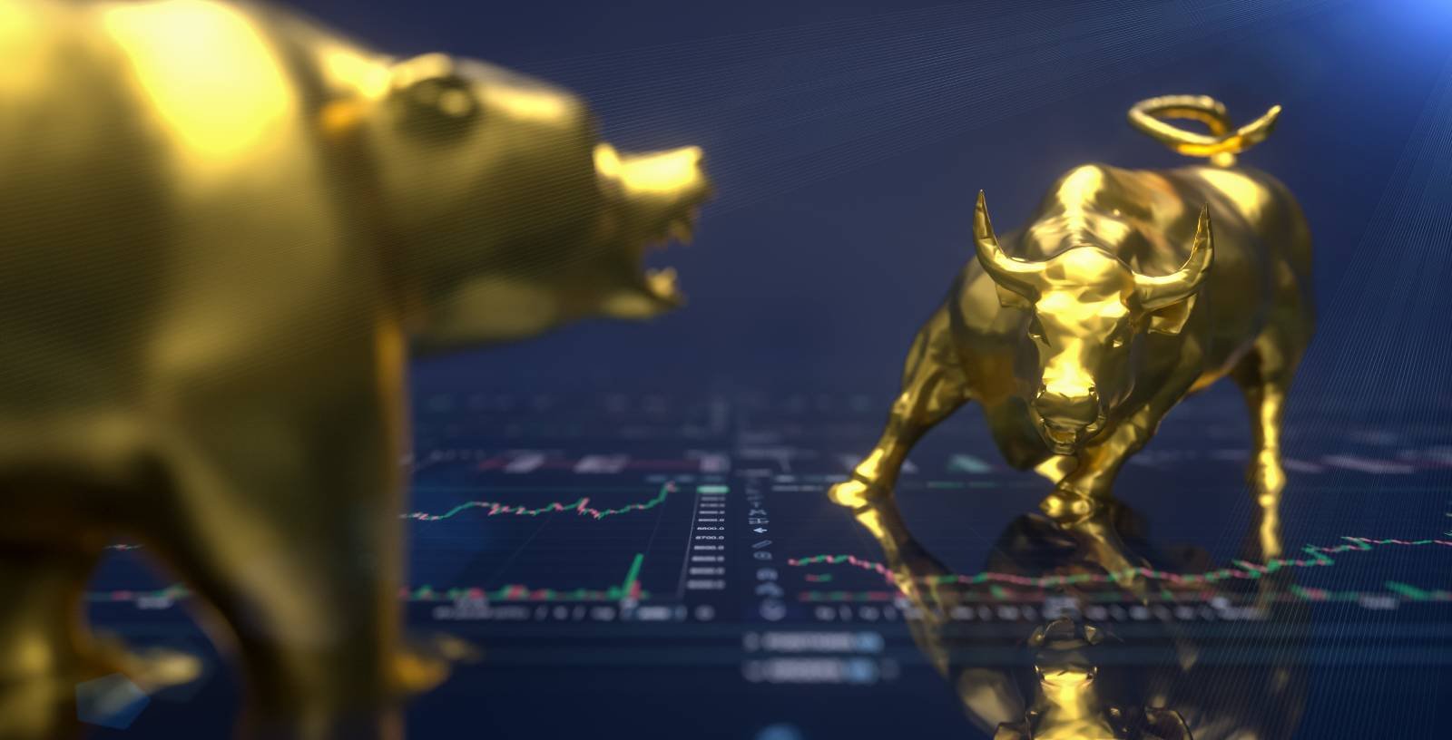 Shares / Bonds
